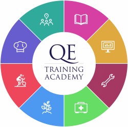 Training Academy color wheel RGB (lg) Logo
